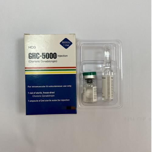 Human Chorionic Gonadotropin