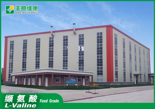 L-Valine BBCA Pharma